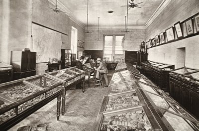 Museo, Escuela de Minas de Camborne, ilustración de 