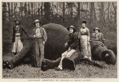 Caza de elefantes en Ceilán, una enorme cantera de John Charles Dollman