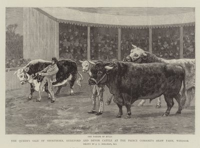 Venta de ganado Shorthorn, Hereford y Devon de la Reina en la granja Shaw del Príncipe Consorte, Windsor de John Charles Dollman