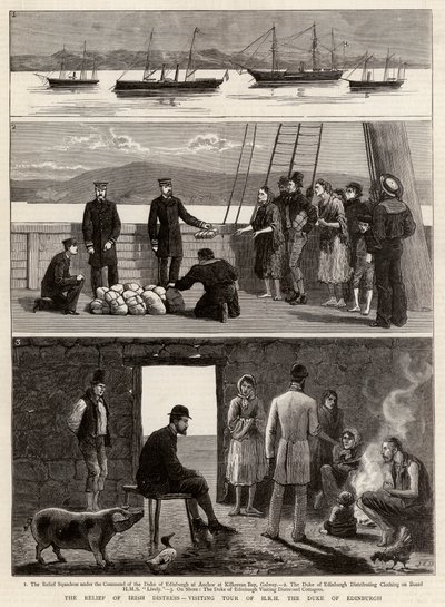 El alivio de la angustia irlandesa, gira de visita de SAR el Duque de Edimburgo de John Charles Dollman