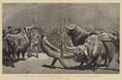 En la Feria de Ganado, juzgando Ganado Escocés, Un Highlander Refractario de John Charlton