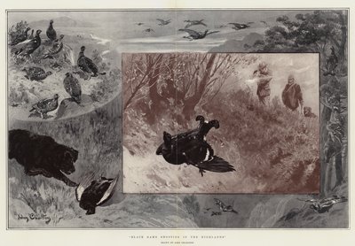 Caza de Juego Negro en las Tierras Altas de John Charlton