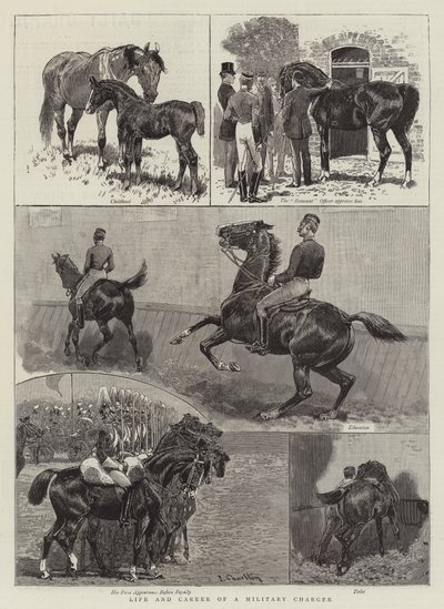 Vida y carrera de un cargador militar de John Charlton