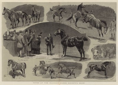 Notas en la exposición de la Sociedad de Caballos de Hackney de John Charlton