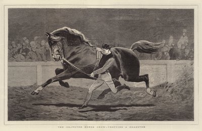 Exposición de Caballos de Islington, trotando un Roadster de John Charlton