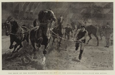 La exhibición de la Sociedad del Stud-Book de Hackney en el Salón Agrícola, ritmo y acción de John Charlton