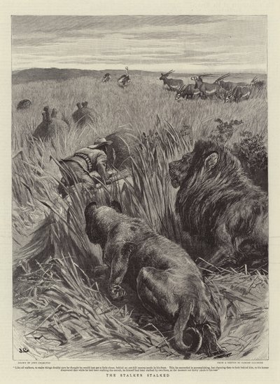 El acechador acechado de John Charlton