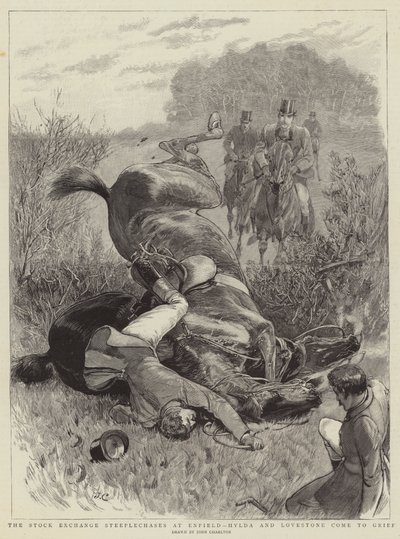 Las Carreras de Obstáculos de la Bolsa en Enfield, Hylda y Lovestone sufren un accidente de John Charlton