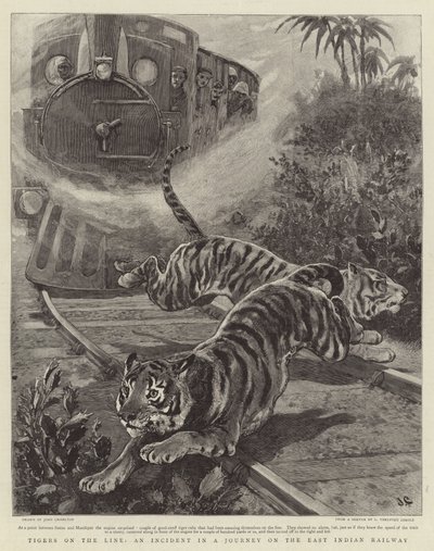 Tigres en la línea, un incidente en un viaje por el ferrocarril de la India Oriental de John Charlton