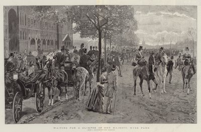 Esperando un vistazo de Su Majestad, Hyde Park de John Charlton