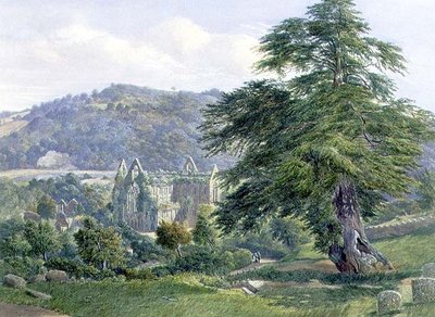Abadía de Tintern con el Wye más allá de John Chase