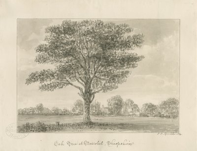 Boscobel - El Roble Real de John Chessell Buckler