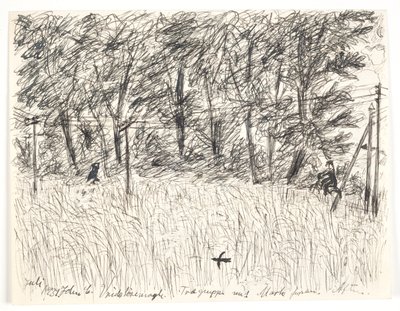 Vridsløsemagle. Grupo de árboles con campo al frente. Tarde de John Christensen