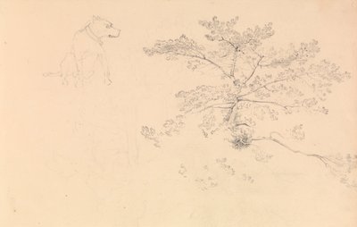 Estudio de un perro con collar y de ramas de árbol de John Christian Schetky
