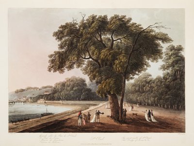 St Cloud, El Gran Paseo de St Cloud, El Puente de Sèvres, etc. etc., ilustración de Versalles, París y Saint Denis, pub. 1805 de John Claude Nattes