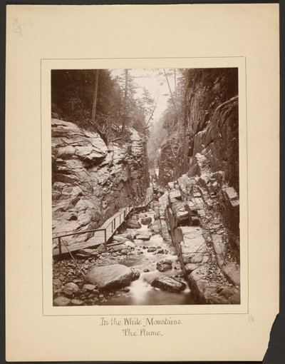 En las Montañas Blancas/The Flume de John Coates Browne