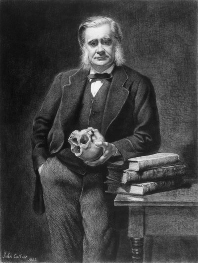 Thomas Henry Huxley (1825-95) grabado por Leopold Flameng (1831-1911) 1885 de John Collier