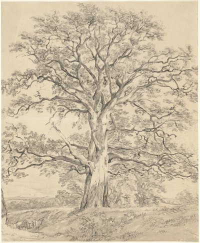 Un gran roble de John Constable