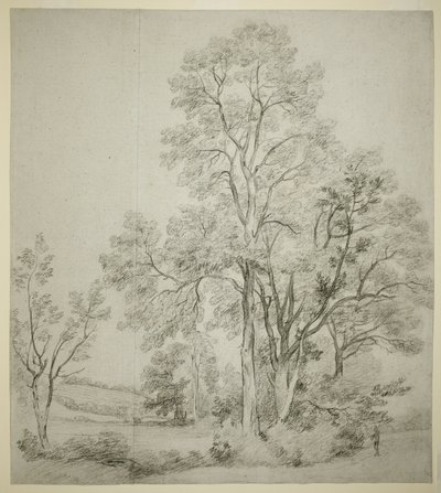 Un grupo de olmos (recto); Un estudio de East Bergholt con la iglesia (verso) de John Constable