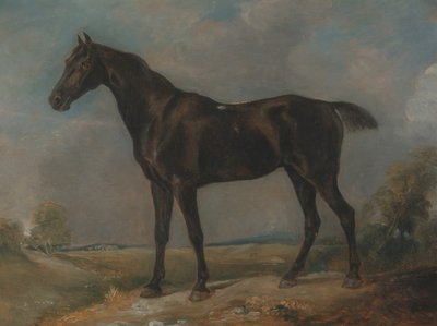 Caballo Negro de Montar de Golding Constable, entre 1805 y 1810 de John Constable