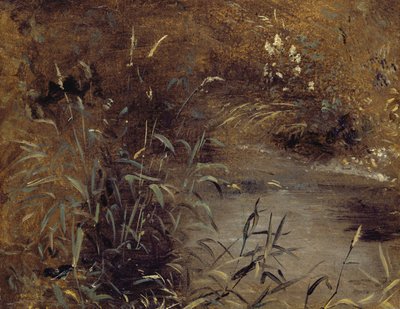 Juncos junto a un estanque, c.1821 de John Constable