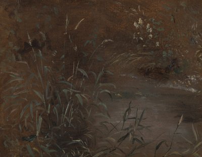 Corre junto a una piscina de John Constable