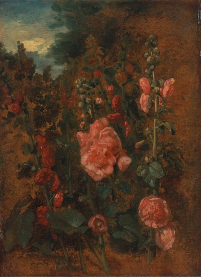 Estudio de malvarrosas, ca. 1826 de John Constable