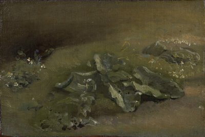 Estudio de un bardana, c.1810-14 o c.1828 de John Constable