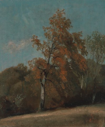Estudio de un fresno, entre 1801 y 1803 o entre 1810 y 1830 de John Constable