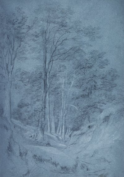 Estudio de fresno y otros árboles de John Constable