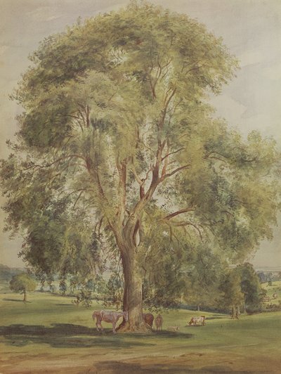 El Árbol de John Constable