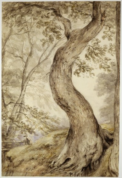 Árbol en Helmingham de John Constable