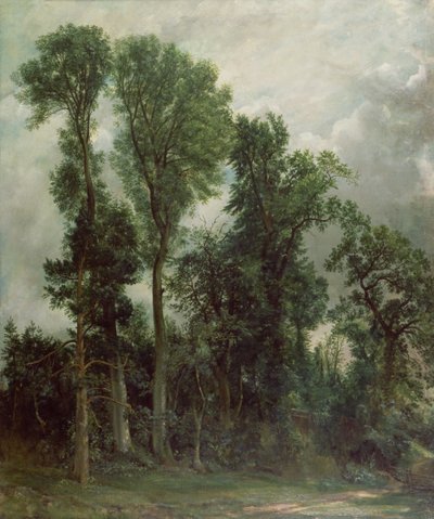 Árboles en Hampstead de John Constable