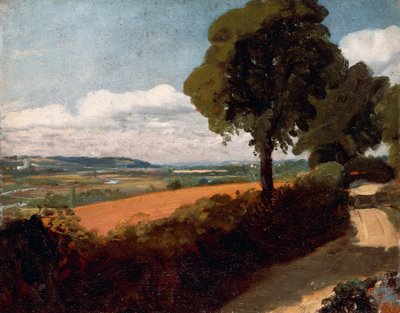 Vista desde una carretera que conduce a East Bergholt de John Constable