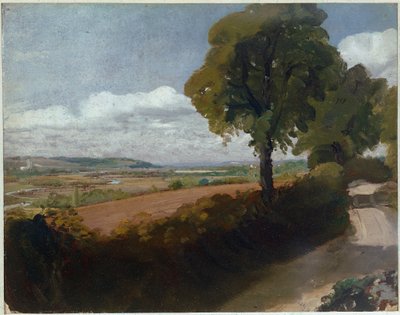 Vista de Dedham desde el camino que lleva de la iglesia de East Bergholt a Flatford de John Constable