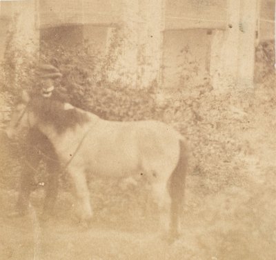 [Hombre y caballo, Casa de Gobierno, Allahabad] de John Constantine Stanley