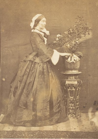 La Vizcondesa Canning, Barrackpore, 1858 de John Constantine Stanley