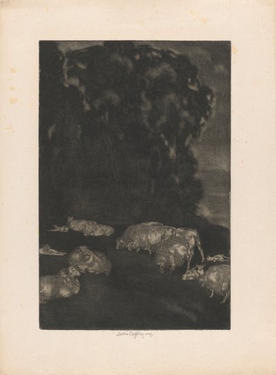 Ovejas en el crepúsculo de John Copley