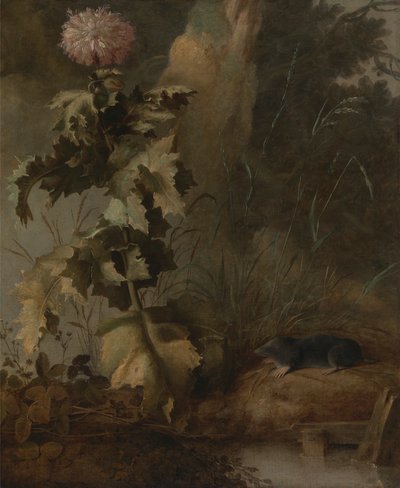 Una amapola egipcia y un topo de agua de John Crome