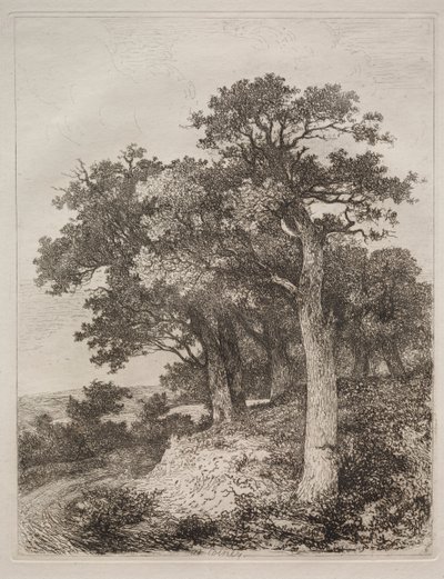 En Colney de John Crome