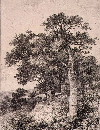 En Colney, pub. por J. & W. Freeman de John Crome