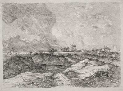 Mousehold Heath de John Crome