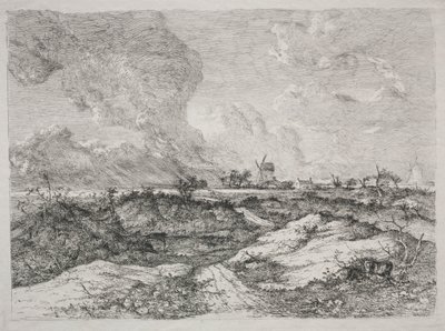 Mousehold Heath, c. 1810-13 de John Crome
