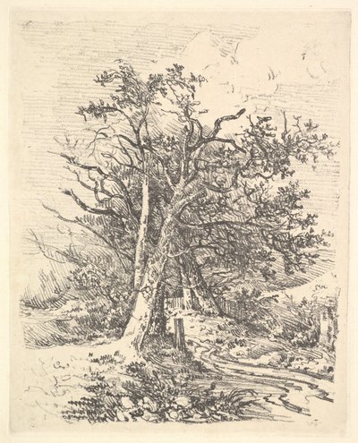 Troncos de Árboles y Camino, 1811-13 de John Crome
