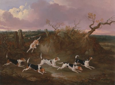 Beagles en pleno llanto de John Dalby