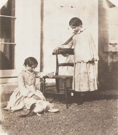 Alimentando al pobre gato, 1853-56 de John Dillwyn Llewelyn