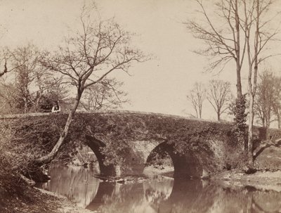 El Puente del Campo Staplylton Bridge, Bristol, c. 1854-1857 de John Dillwyn Llewelyn
