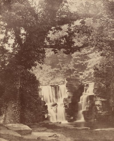 La cascada superior, bosque del valle de Penllergare,c. 1852 (foto) de John Dillwyn Llewelyn