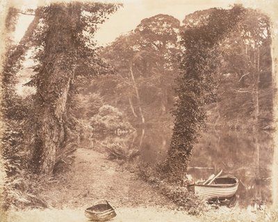Lago Superior, 1853-56 de John Dillwyn Llewelyn