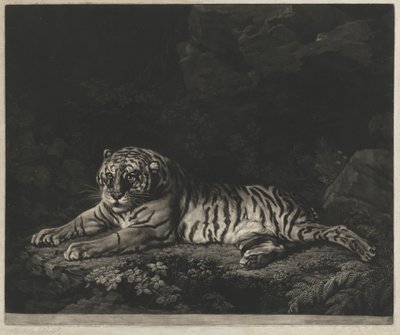Una tigresa de John Dixon after George Stubbs